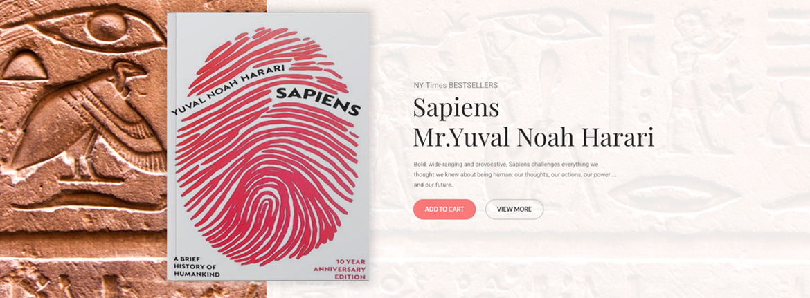 Controses homepage slider featuring Sapiens