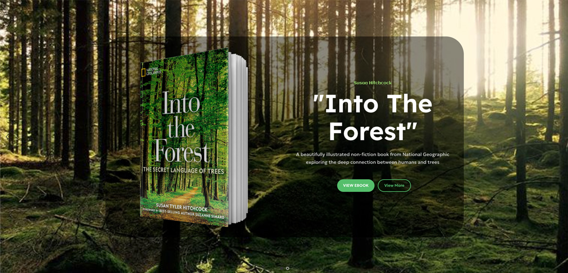 Feetlux homepage slider featuring Into The Forest